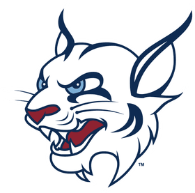 St. Thomas University banner logo