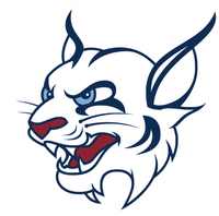 St. Thomas University banner logo