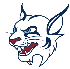 St. Thomas University banner logo